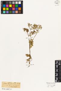SW_BNB_s3010-06470_IMG-0000000001