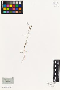 SW_BNB_s3010-06474_IMG-0000000001