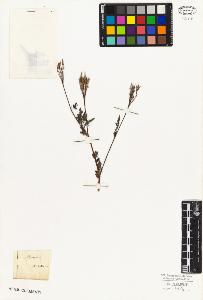 SW_BNB_s3010-06475_IMG-0000000001