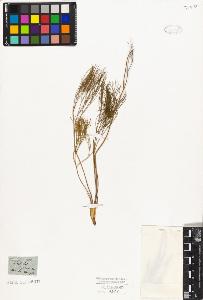 SW_BNB_s3010-06476_IMG-0000000001
