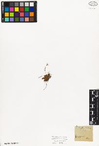 SW_BNB_s3010-06479_IMG-0000000001