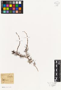 SW_BNB_s3010-06480_IMG-0000000001