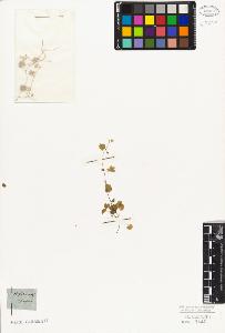 SW_BNB_s3010-06483_IMG-0000000001