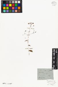 SW_BNB_s3010-06485_IMG-0000000001