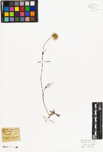 SW_BNB_s3010-06498_IMG-0000000001