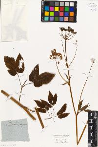SW_BNB_s3010-06511_IMG-0000000001