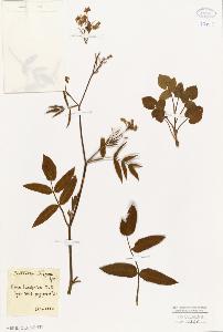 SW_BNB_s3010-06513_IMG-0000000001