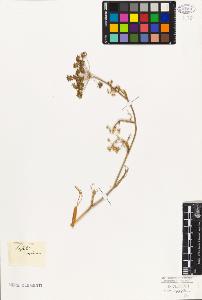 SW_BNB_s3010-06524_IMG-0000000001