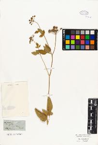 SW_BNB_s3010-06550_IMG-0000000001