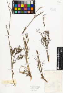 SW_BNB_s3010-06551_IMG-0000000001