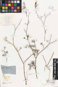 SW_BNB_s3010-06552_IMG-0000000001