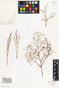 SW_BNB_s3010-06563_IMG-0000000001