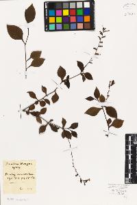 SW_BNB_s3010-06566_IMG-0000000001