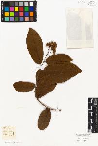 SW_BNB_s3010-06567_IMG-0000000001
