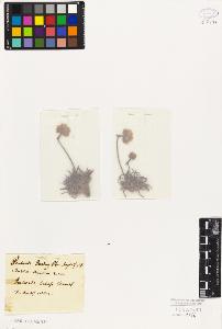 SW_BNB_s3010-06571_IMG-0000000001