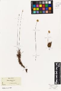SW_BNB_s3010-06576_IMG-0000000001