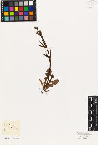 SW_BNB_s3010-06578_IMG-0000000001