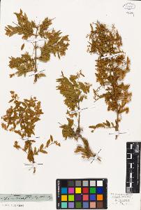 SW_BNB_s3010-06591_IMG-0000000001