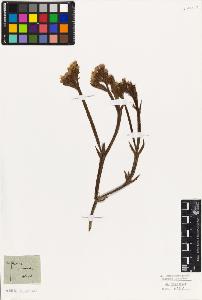 SW_BNB_s3010-06592_IMG-0000000001