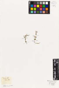 SW_BNB_s3010-06593_IMG-0000000001