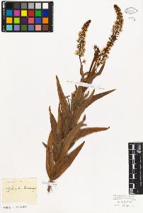 SW_BNB_s3010-06597_IMG-0000000001
