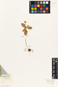 SW_BNB_s3010-06599_IMG-0000000001
