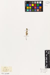 SW_BNB_s3010-06600_IMG-0000000001
