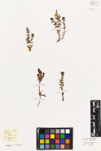 SW_BNB_s3010-06601_IMG-0000000001
