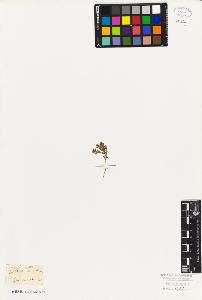 SW_BNB_s3010-06602_IMG-0000000001