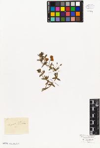 SW_BNB_s3010-06603_IMG-0000000001