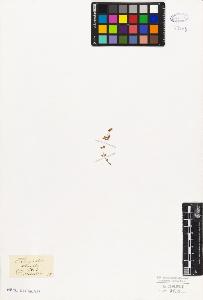 SW_BNB_s3010-06605_IMG-0000000001