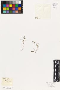 SW_BNB_s3010-06607_IMG-0000000001