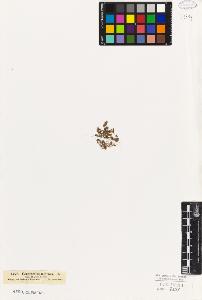 SW_BNB_s3010-06609_IMG-0000000001
