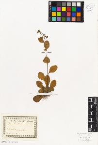SW_BNB_s3010-06610_IMG-0000000001