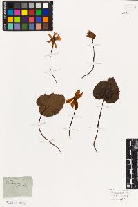 SW_BNB_s3010-06614_IMG-0000000001