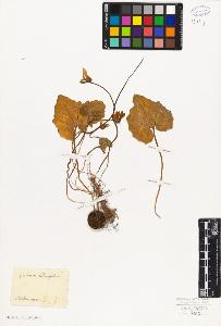 SW_BNB_s3010-06615_IMG-0000000001