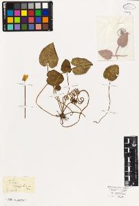 SW_BNB_s3010-06616_IMG-0000000001