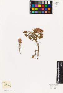 SW_BNB_s3010-06617_IMG-0000000001