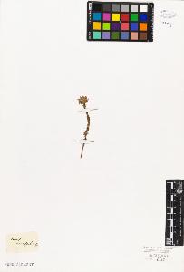 SW_BNB_s3010-06618_IMG-0000000001