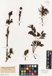 SW_BNB_s3010-06620_IMG-0000000001