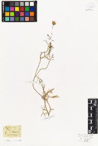 SW_BNB_s3010-06622_IMG-0000000001
