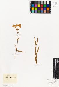 SW_BNB_s3010-06624_IMG-0000000001