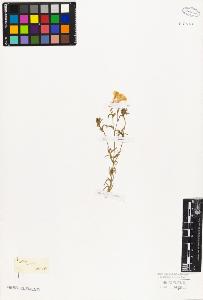 SW_BNB_s3010-06627_IMG-0000000001