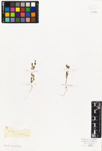 SW_BNB_s3010-06631_IMG-0000000001