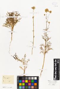 SW_BNB_s3010-06632_IMG-0000000001