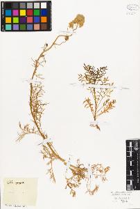 SW_BNB_s3010-06633_IMG-0000000001
