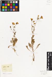 SW_BNB_s3010-06636_IMG-0000000001
