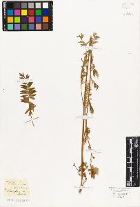 SW_BNB_s3010-06639_IMG-0000000001