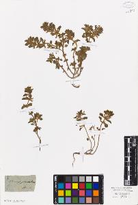 SW_BNB_s3010-06644_IMG-0000000001
