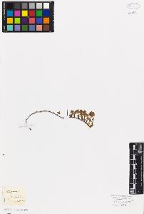SW_BNB_s3010-06645_IMG-0000000001